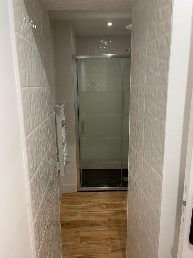 Le Jardin Niortais - Hyper Centre- Proche Gare - Paisible - Grand Jardin Prive, Wifi Hd -Netflix Apartment Ngoại thất bức ảnh